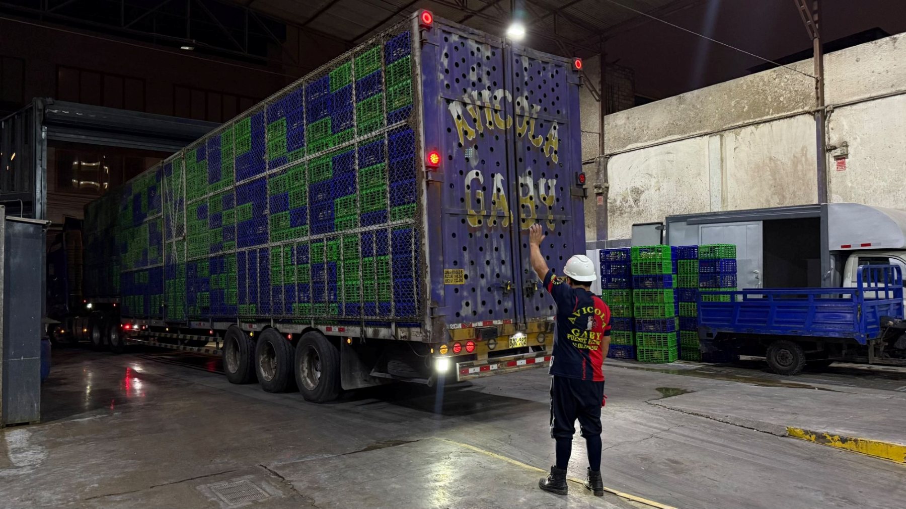 Colaborador de Avícola Gaby guiando el camión de despacho de madrugada