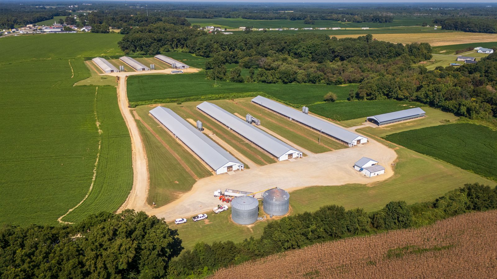 Vista aérea de una granja avícola con galpones, silos y camiones