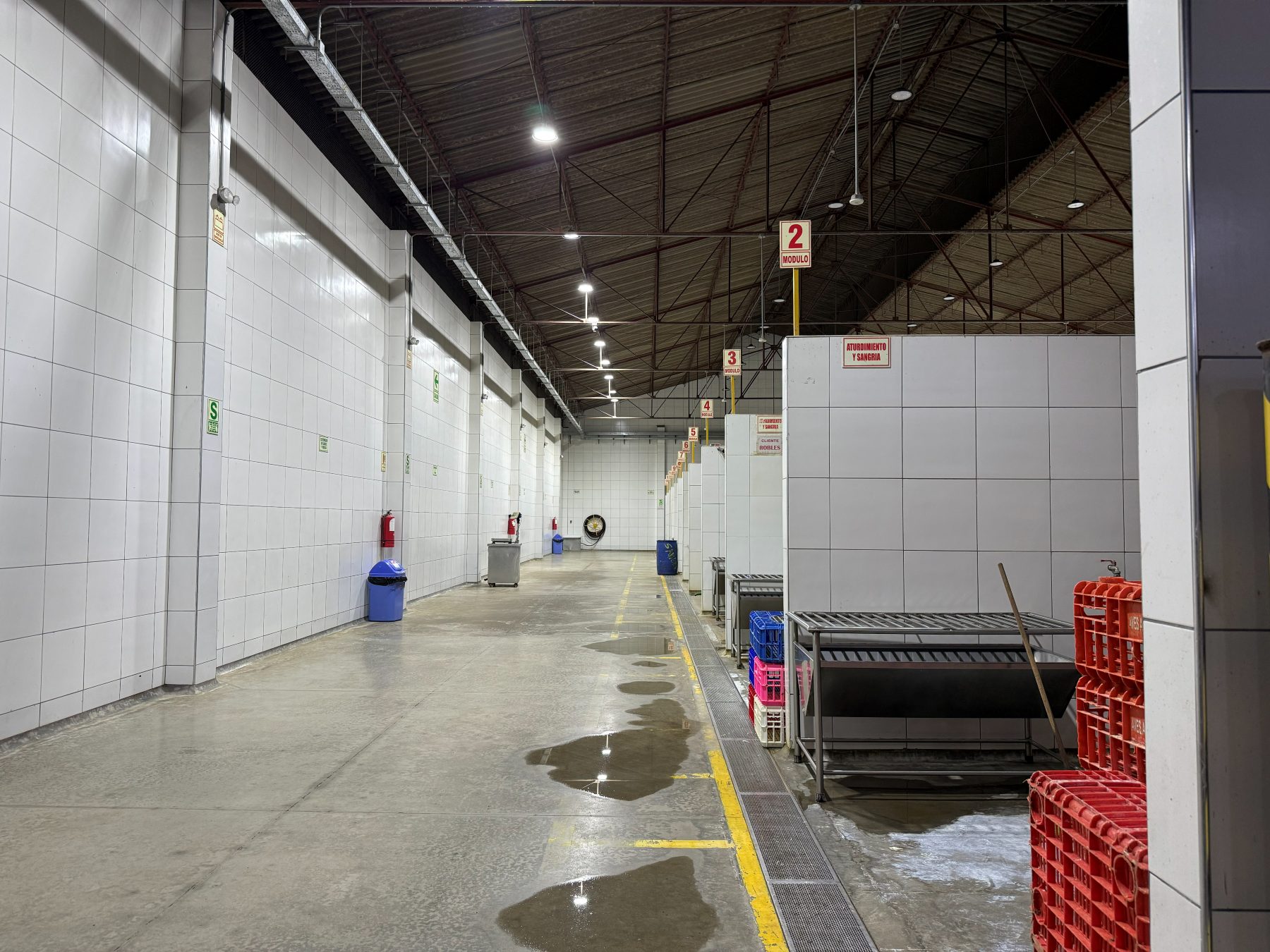 Pasillo limpio de la planta de beneficio